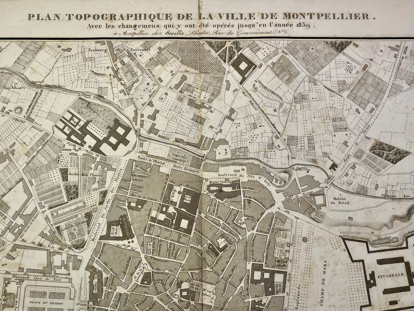 Plan ancien Montpellier decoration JM Amelin