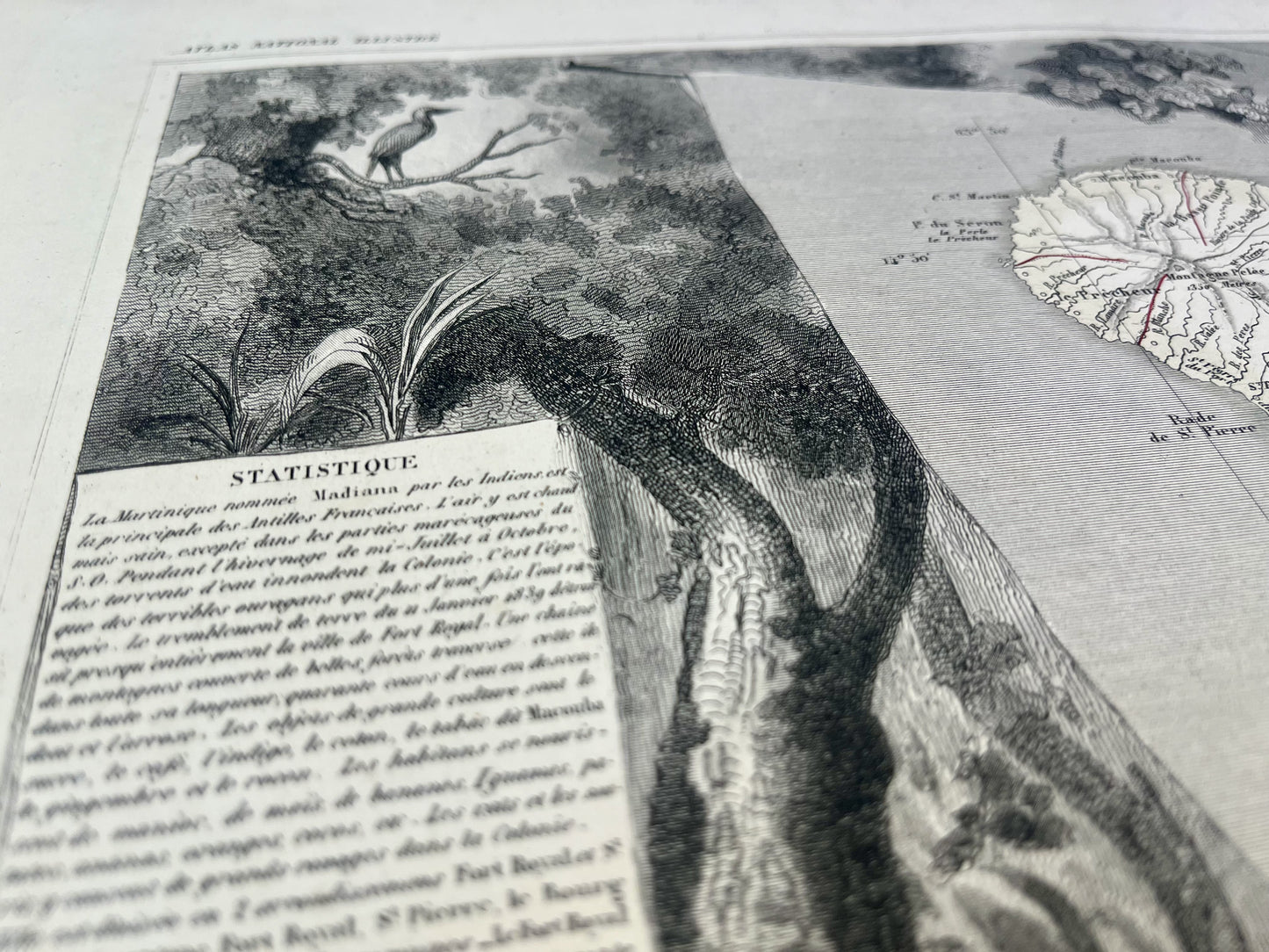 Gravure carte ancienne de la Martinique