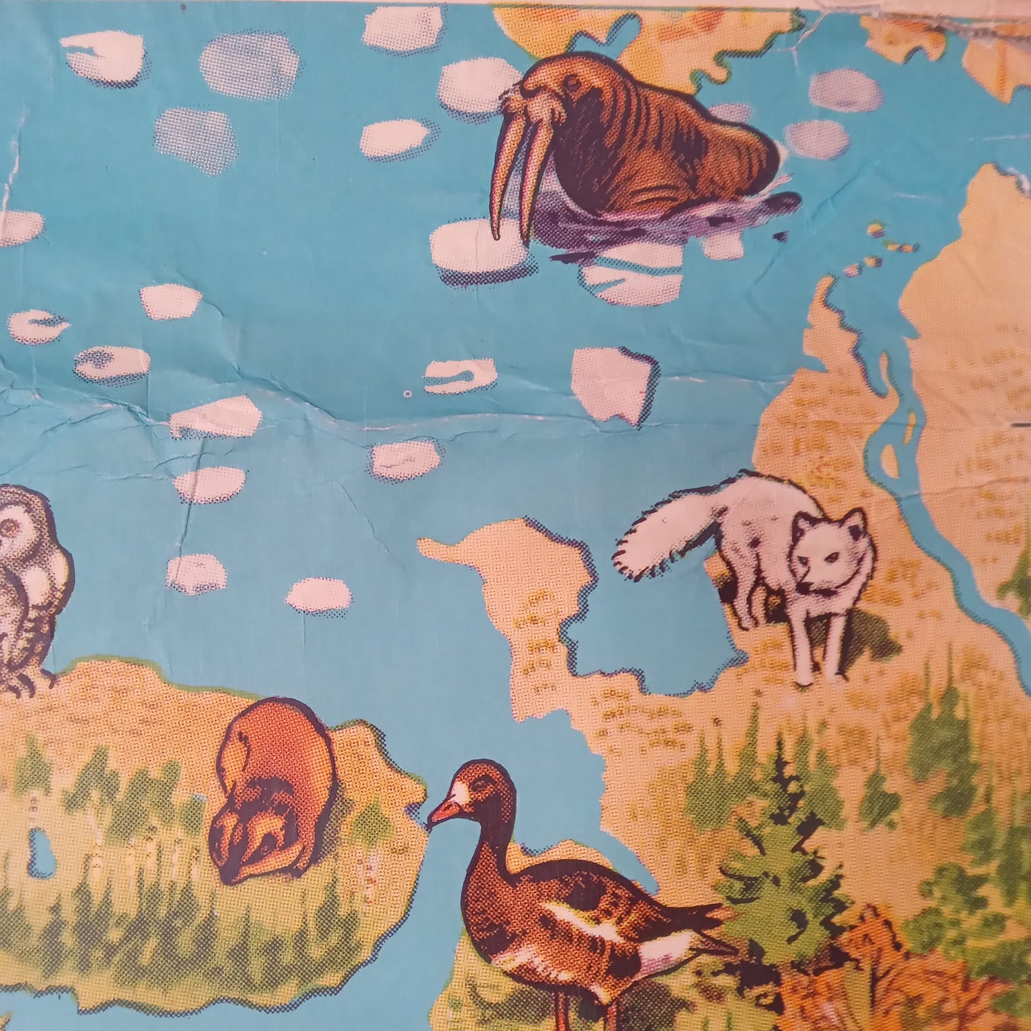 affiche ecole westermann europe pictorial map