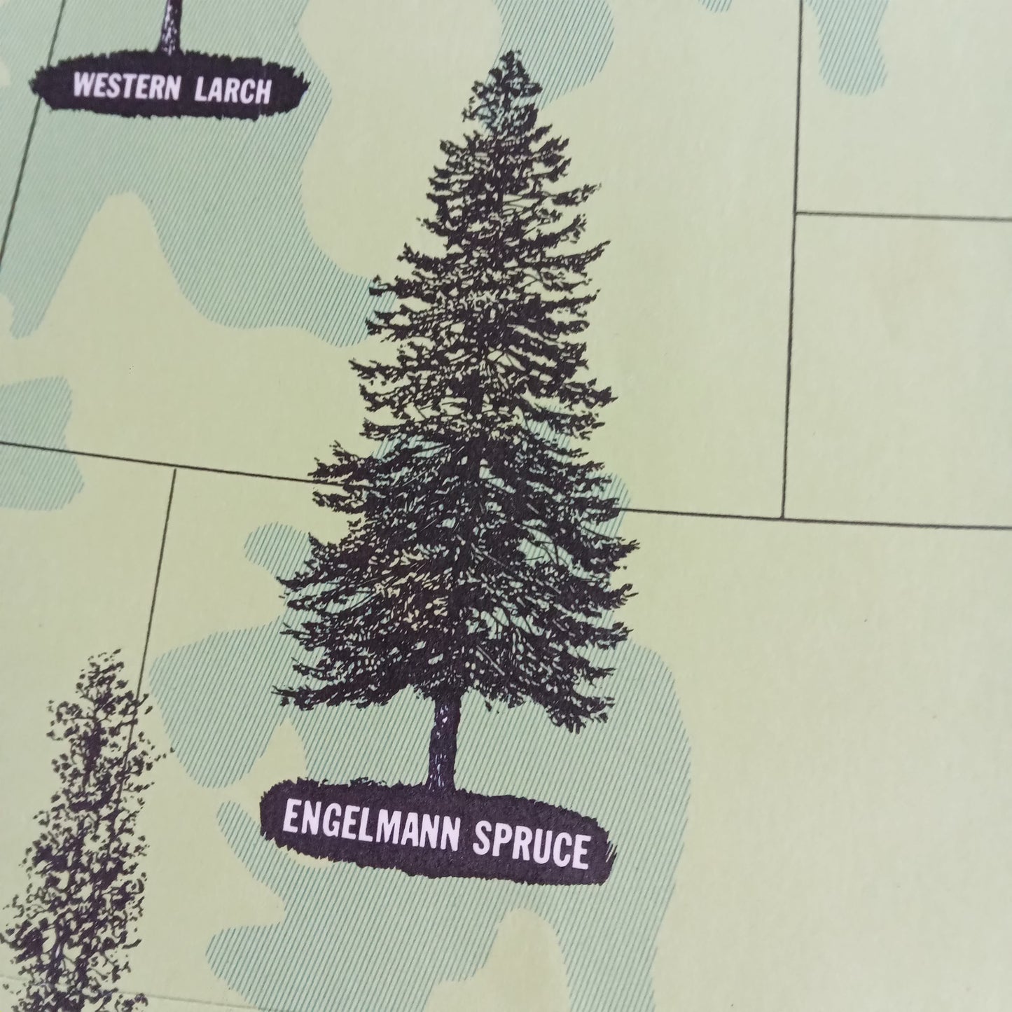 carte ancienne etats-unis