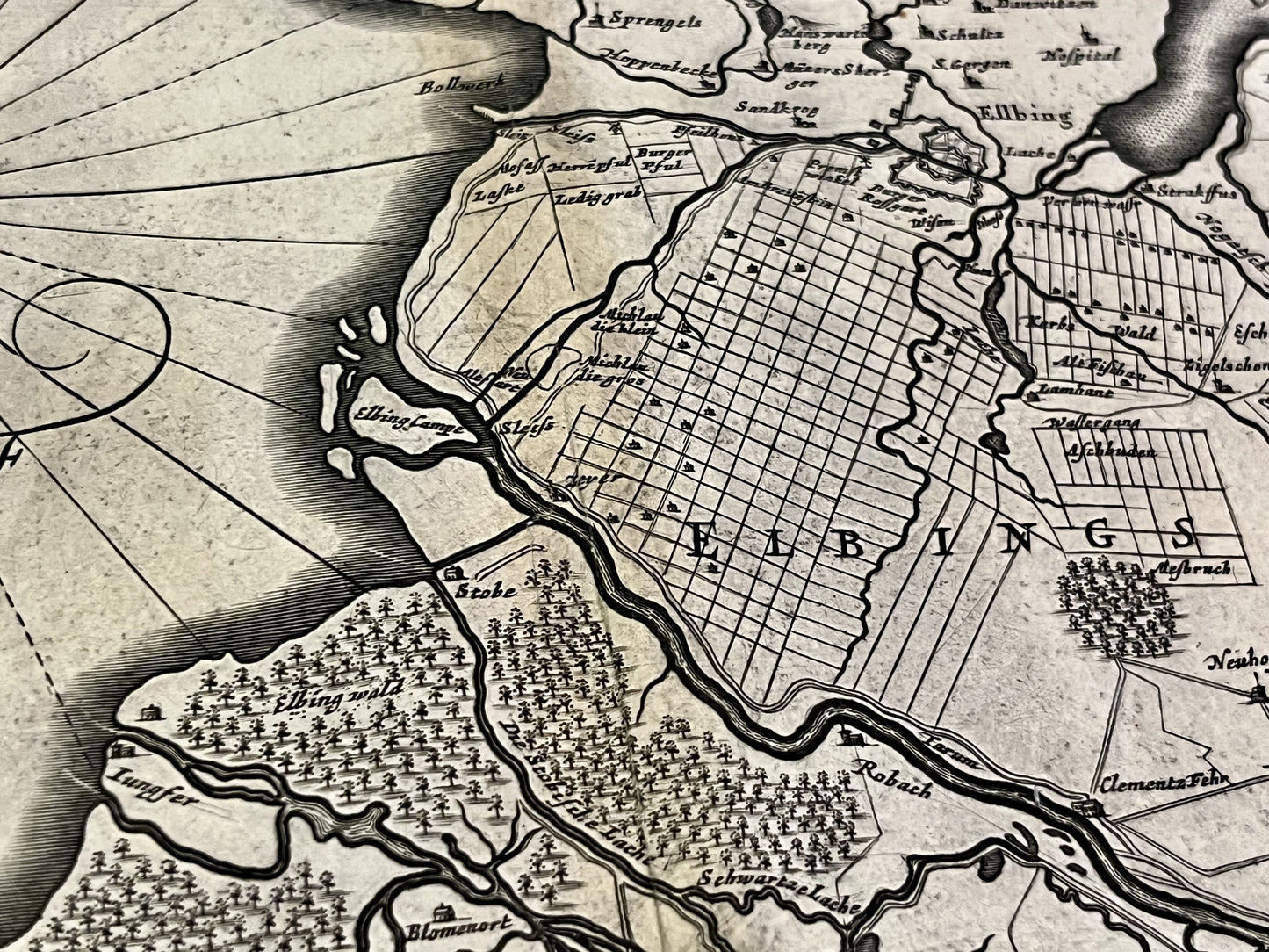 Achat carte ancienne Elblag Pologne