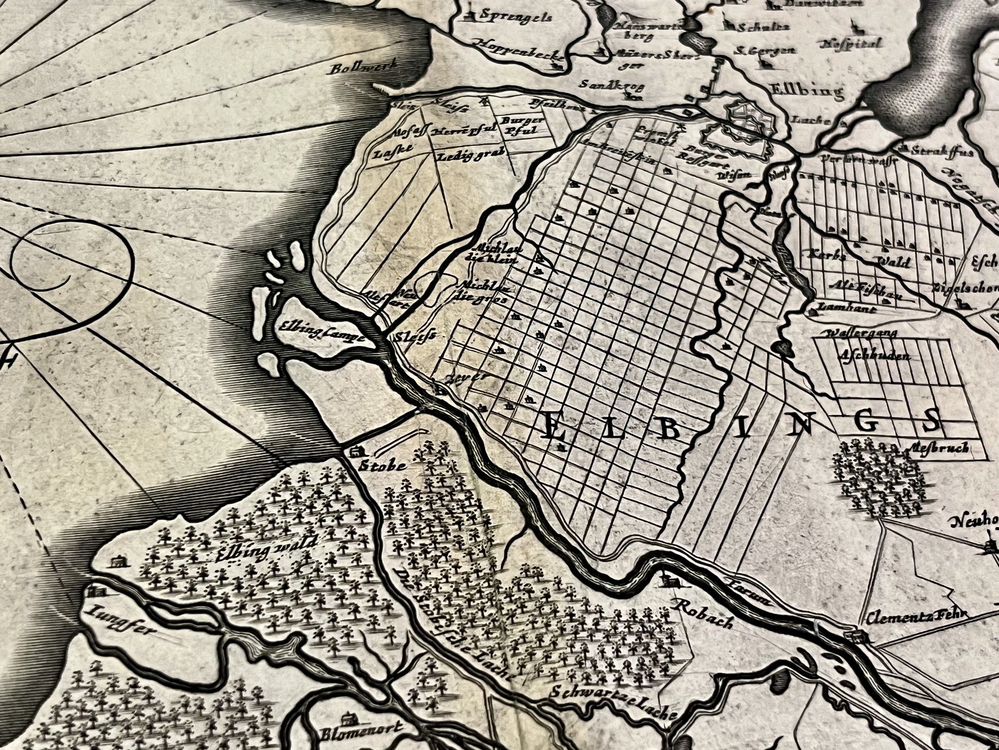 Achat carte ancienne Elblag Pologne