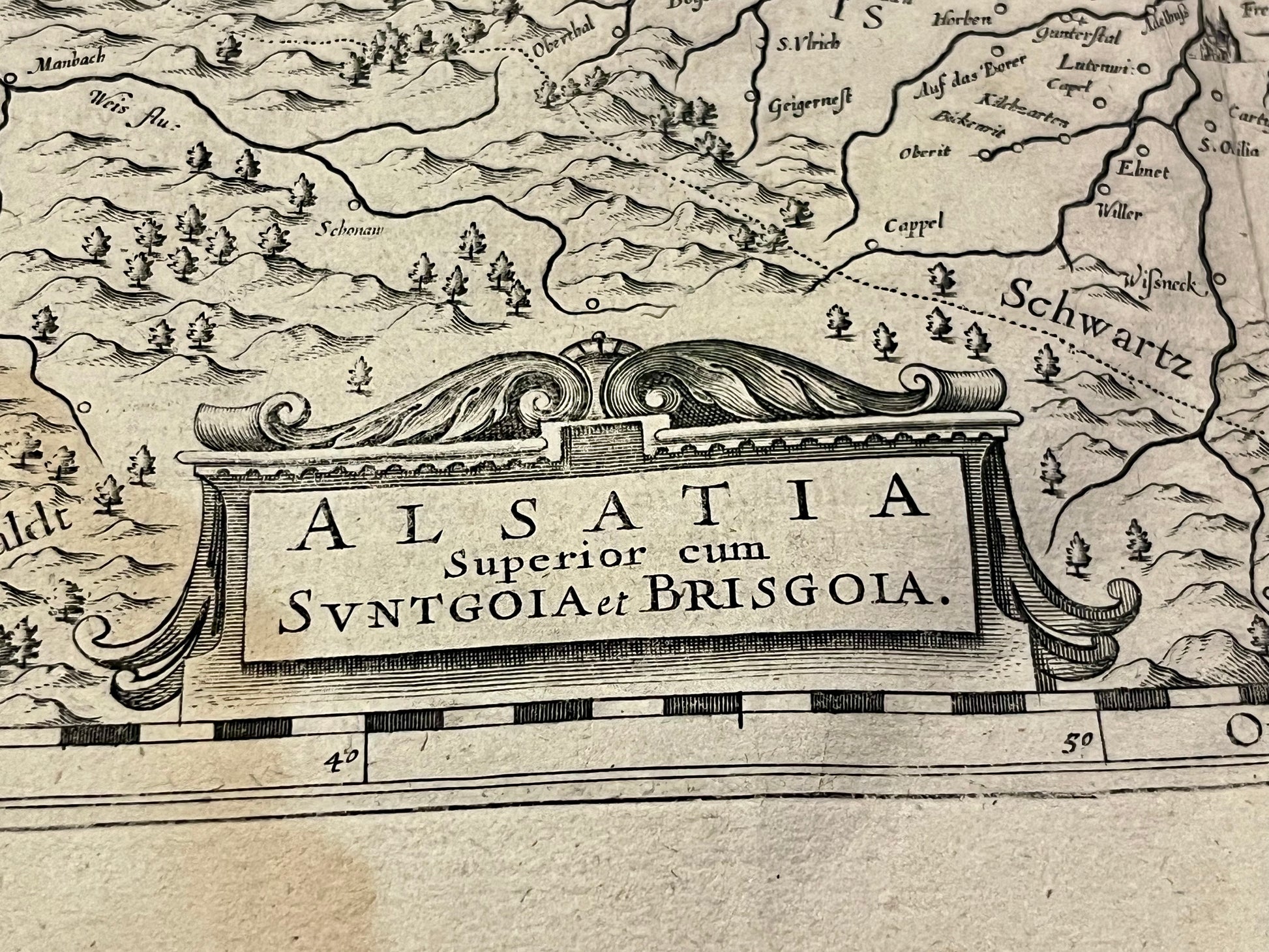 Alsatia superior cum suntgoia et brisgola