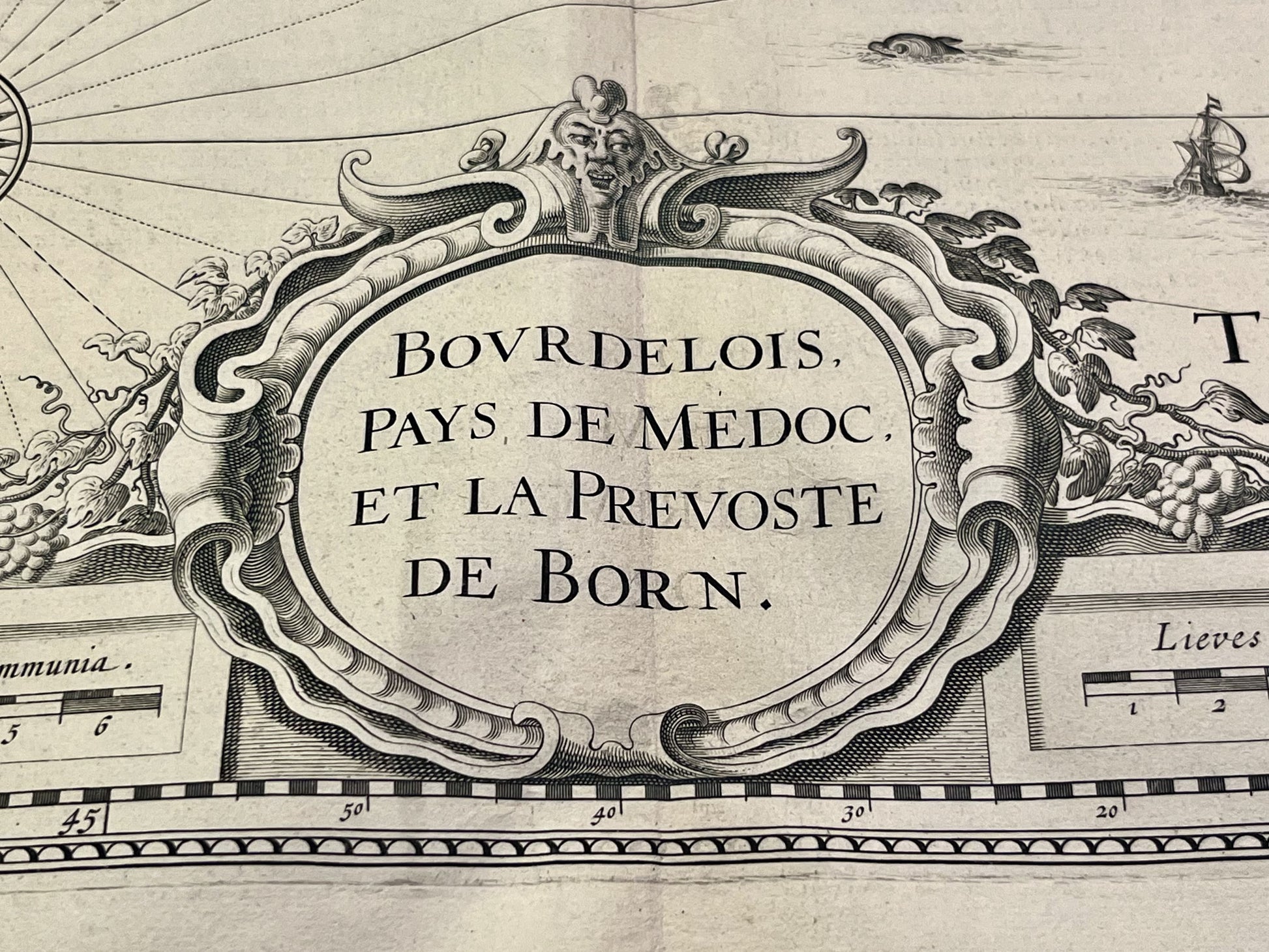 Bordelais Pays de medoc et Prevote de Born