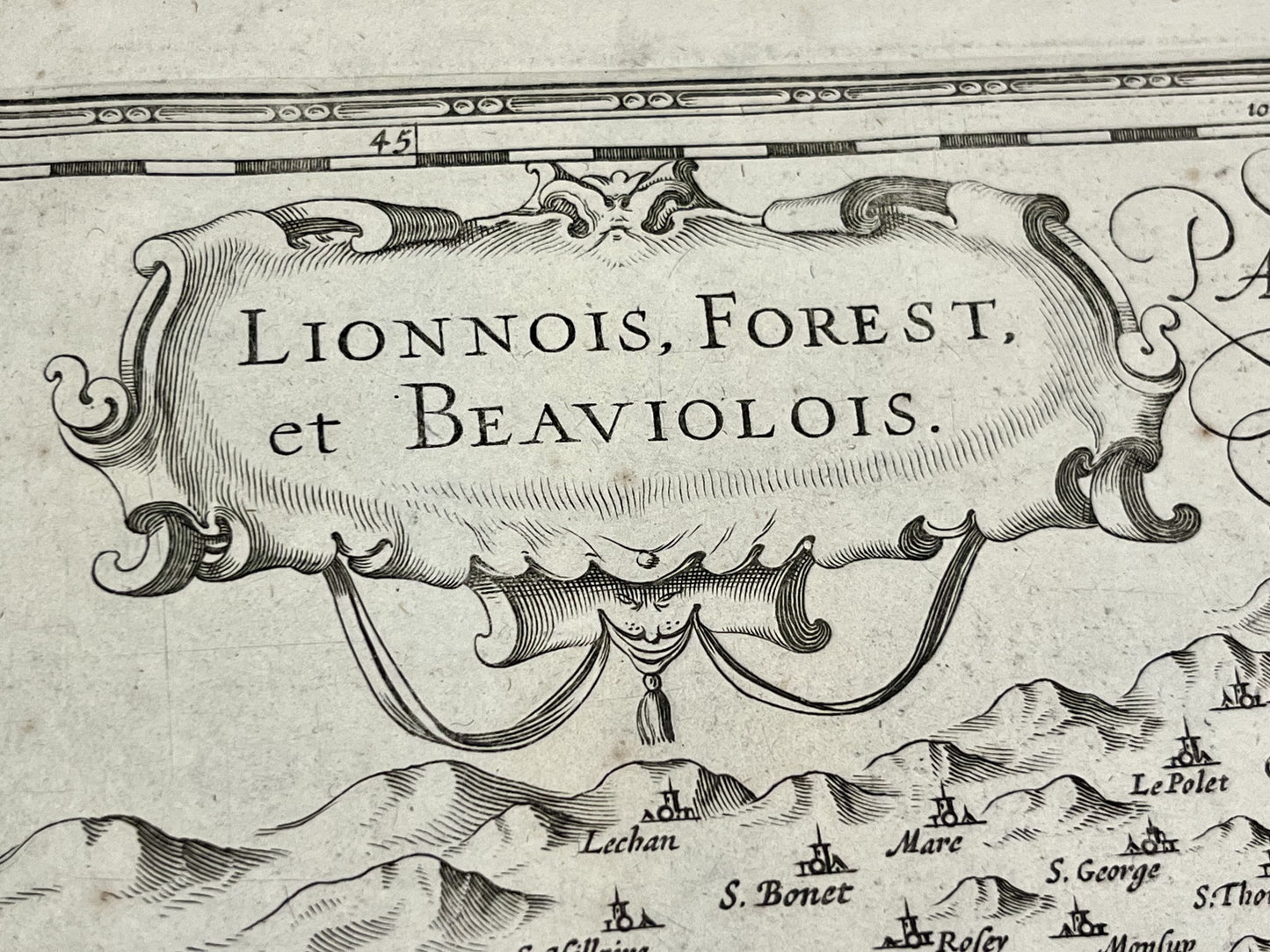 Lionnois Forest Beauiolois