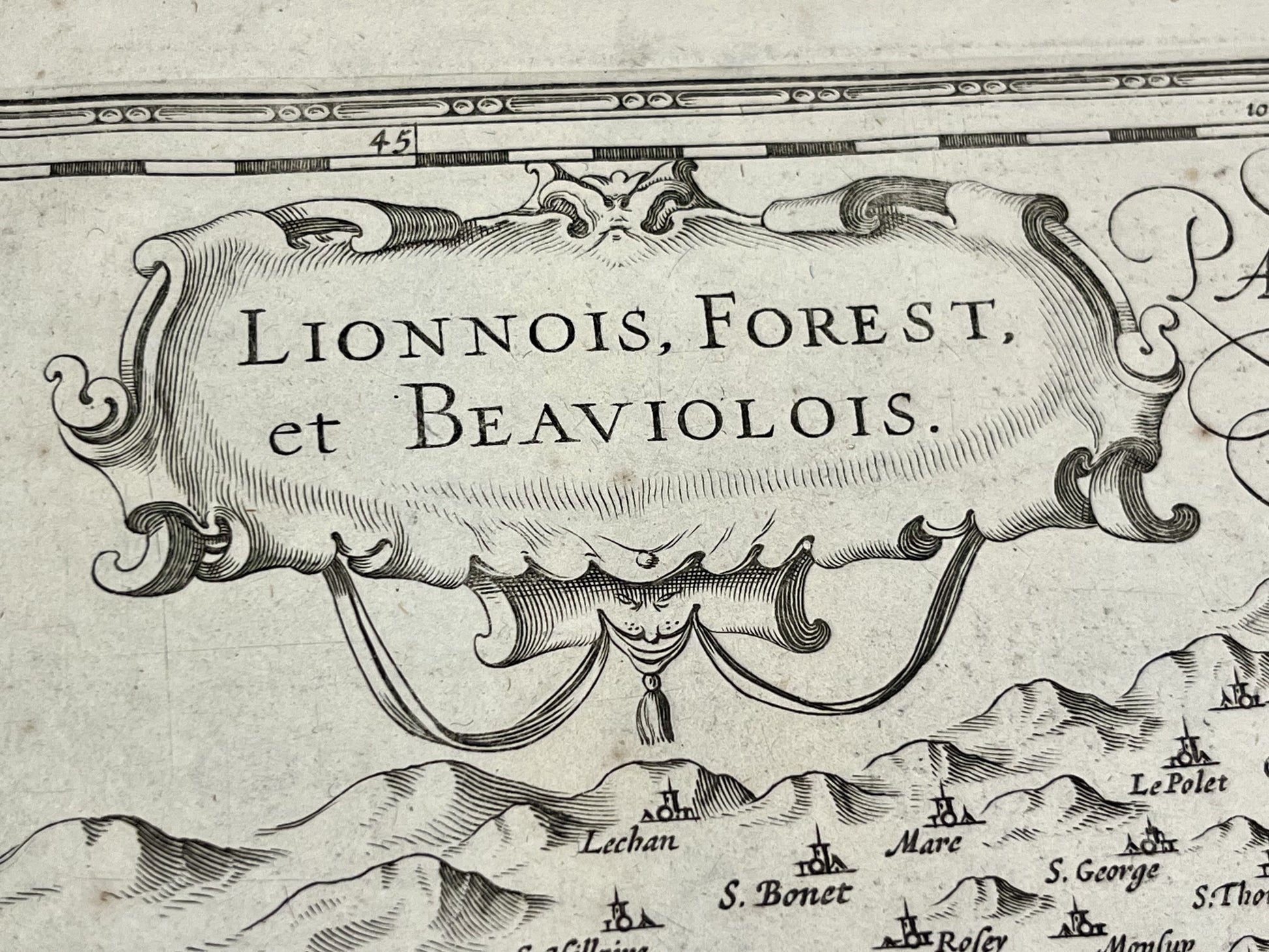 Lionnois Forest Beauiolois