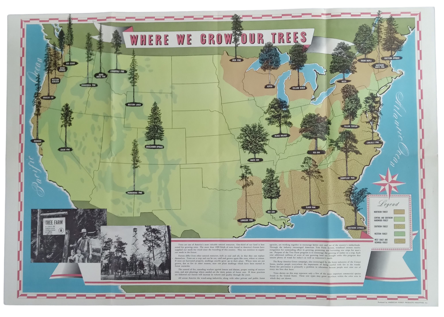 affiche vintage etats-unis forêt 