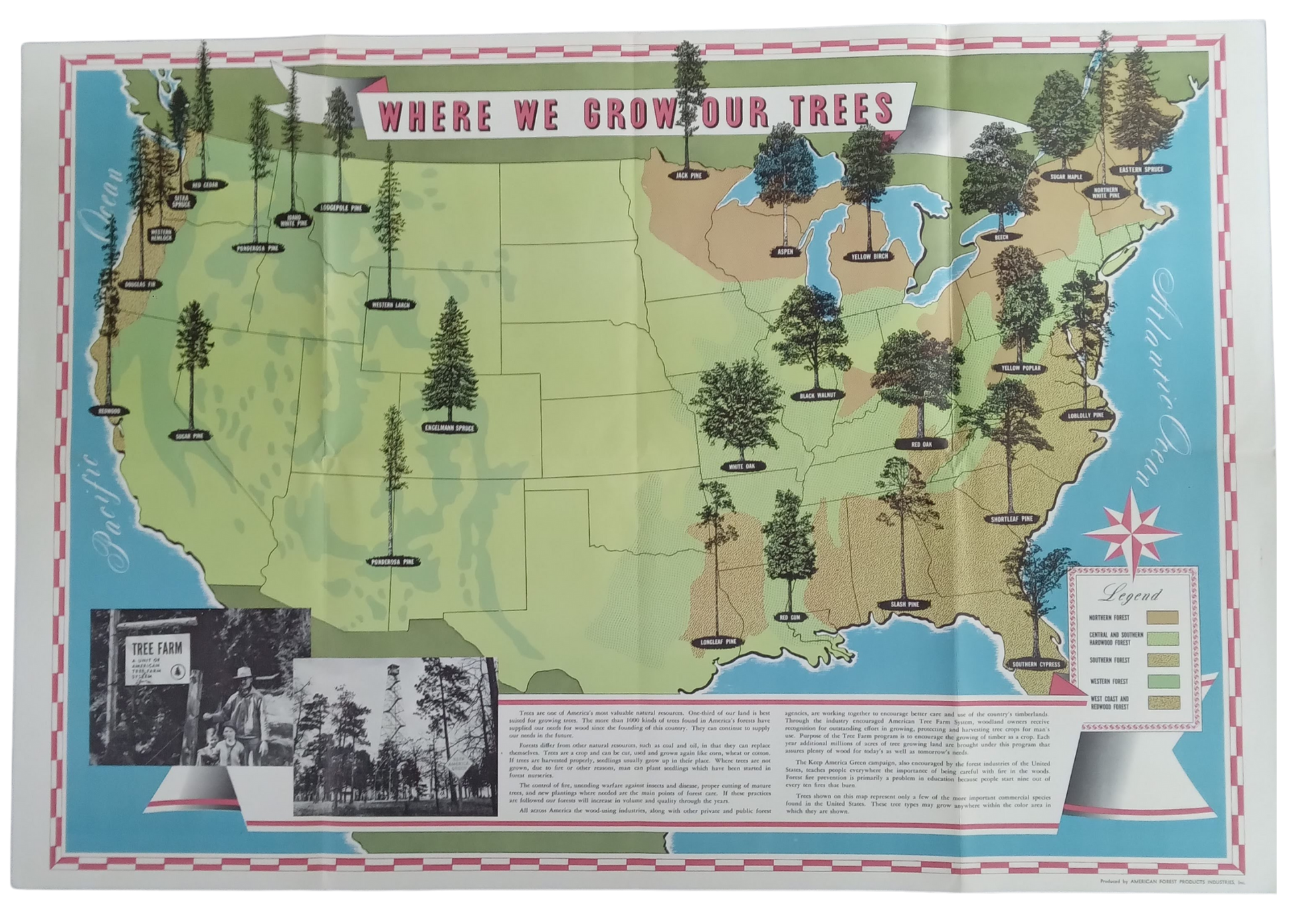 affiche vintage etats-unis forêt 