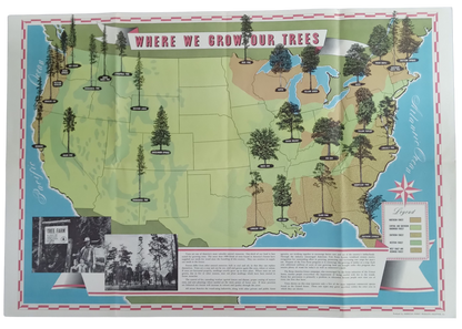 affiche vintage etats-unis forêt 