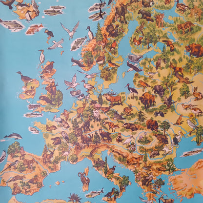 Gros plan sur la carte zoologique de l'Europe, montrant de nombreux animaux terrestres et marins illustrés sur leurs territoires respectifs. Carte scolaire, school map westermann Europe