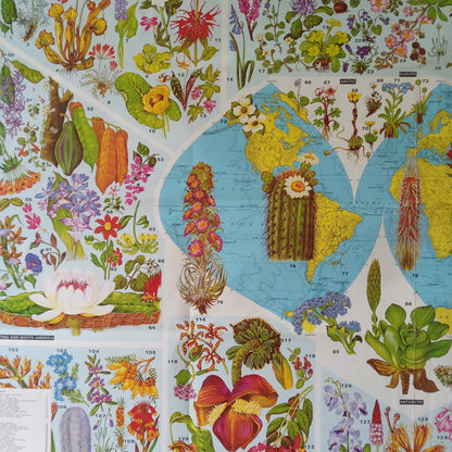  Gros plan sur la partie gauche de la carte "World of Flowers", montrant les Amériques, l'Europe et les illustrations florales correspondantes.
