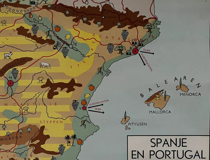 Gros plan sur la côte portugaise près de Lisbonne montrant des illustrations de sardines en conserve, de grappes de raisin (wijn) et de liège (kurk).