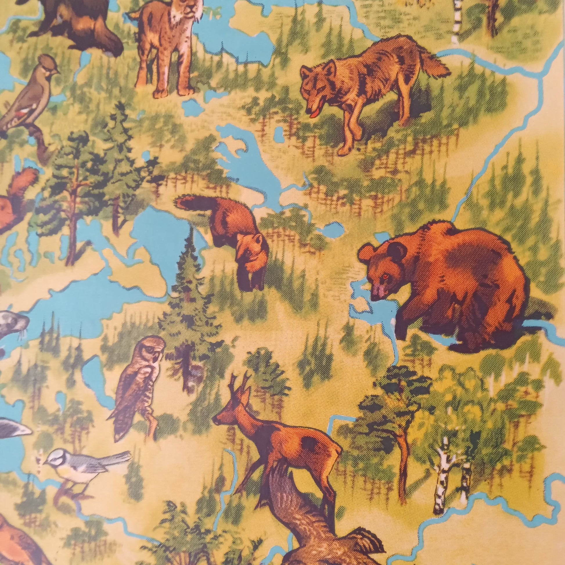 Gros plan sur la Scandinavie sur la carte de la faune, avec des dessins d'ours brun, de loup, de lynx et de chevreuil dans un décor de forêt