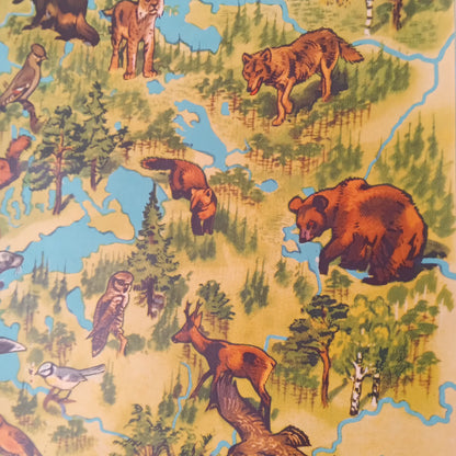Gros plan sur la Scandinavie sur la carte de la faune, avec des dessins d'ours brun, de loup, de lynx et de chevreuil dans un décor de forêt