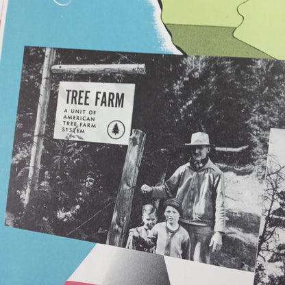 carte scolaire amerique du nord