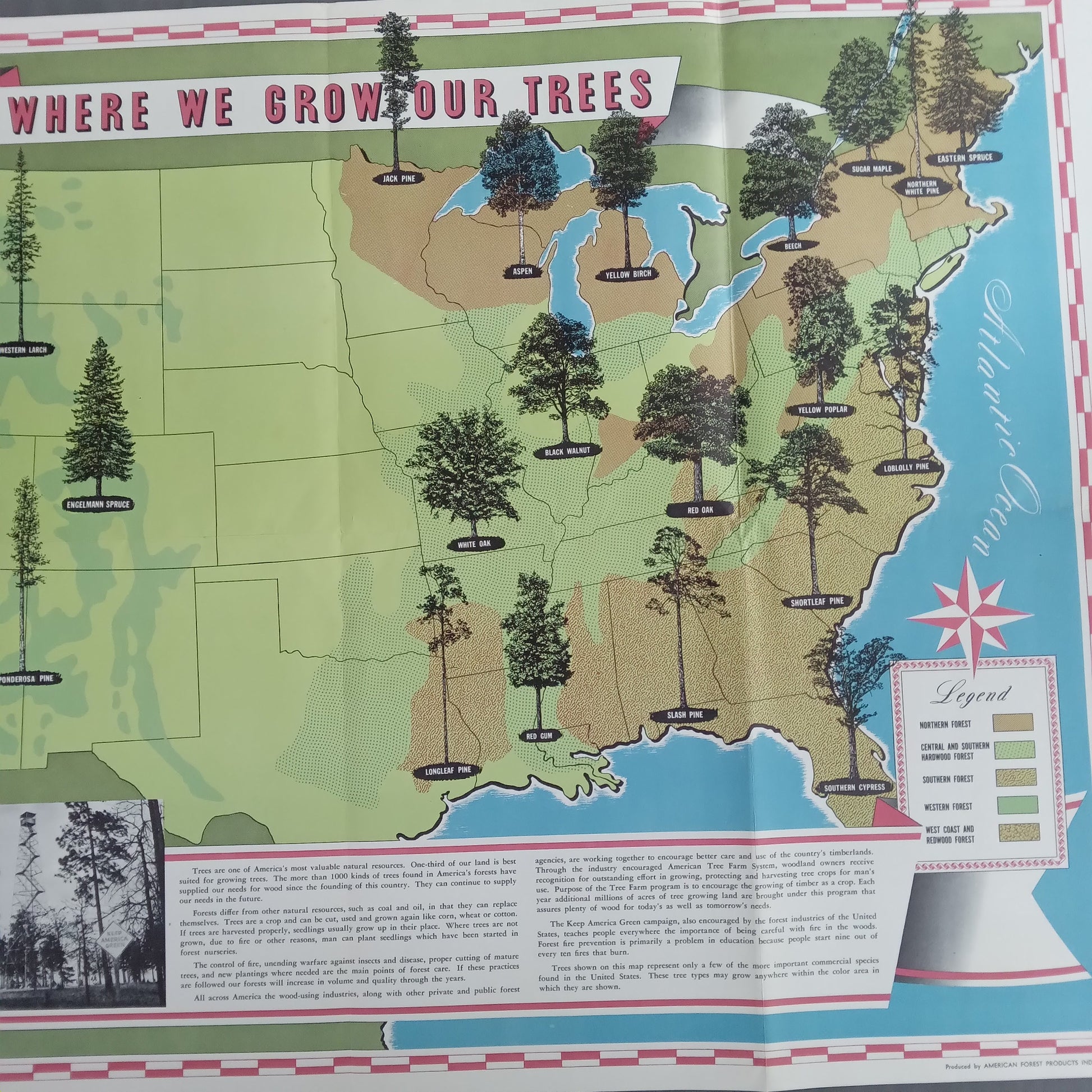 carte scolaire usa vintage