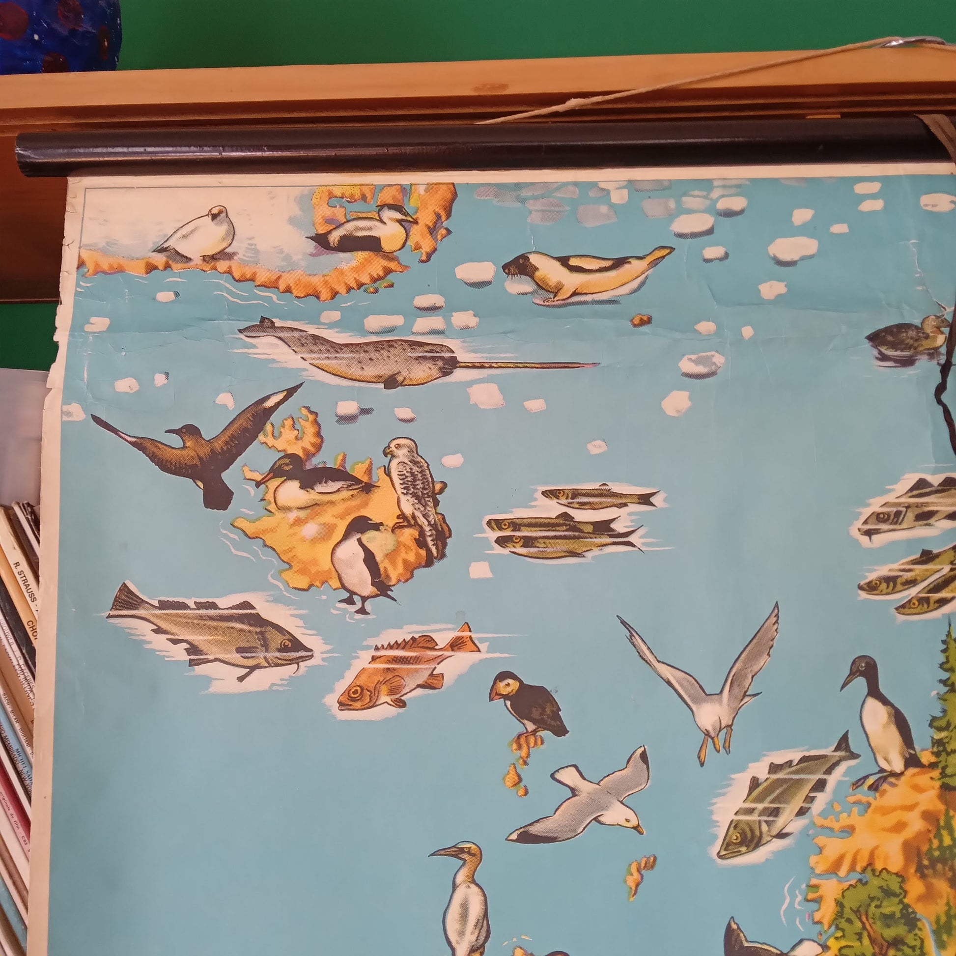 carte scolaire westermann europe