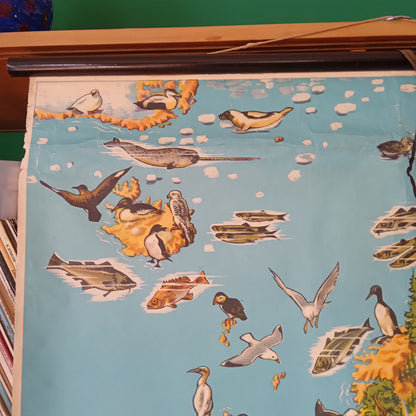 carte scolaire westermann europe