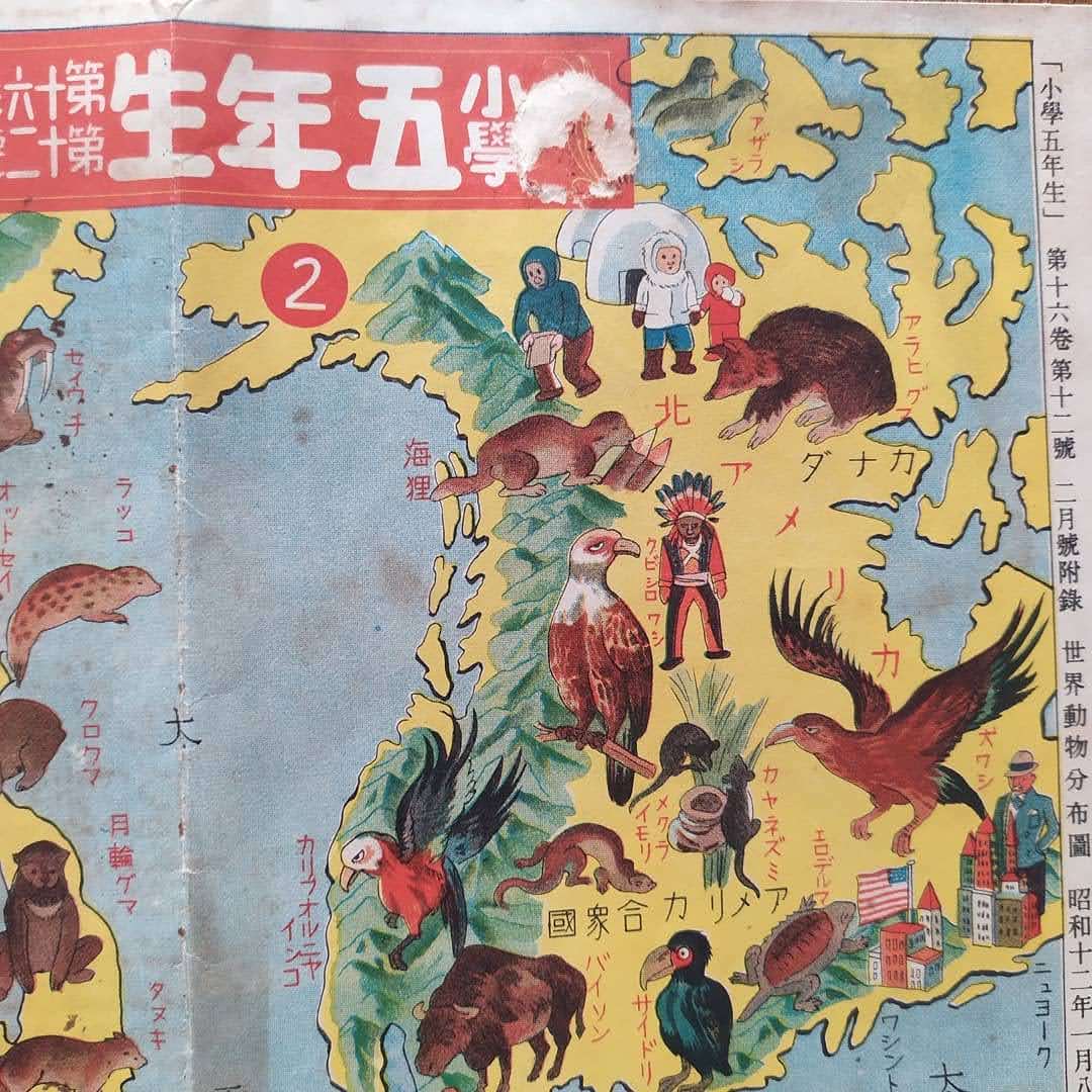 Gros plan sur l'Amérique du Nord sur la carte vintage, avec des illustrations d'aigles, bisons, ours, Inuits avec un igloo et Amérindiens.