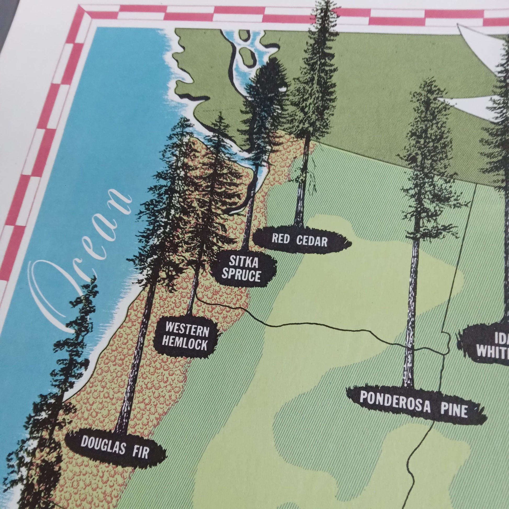carte vintage etats-unis forêt 