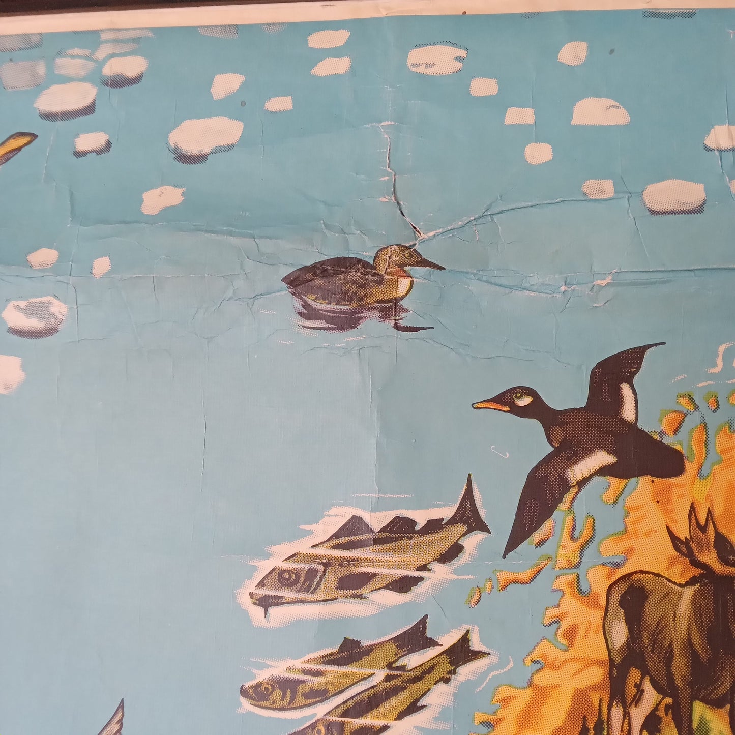 Détail de la surface de la carte vintage montrant des signes d'usure, avec du papier plissé et des craquelures, attestant de son ancienneté.