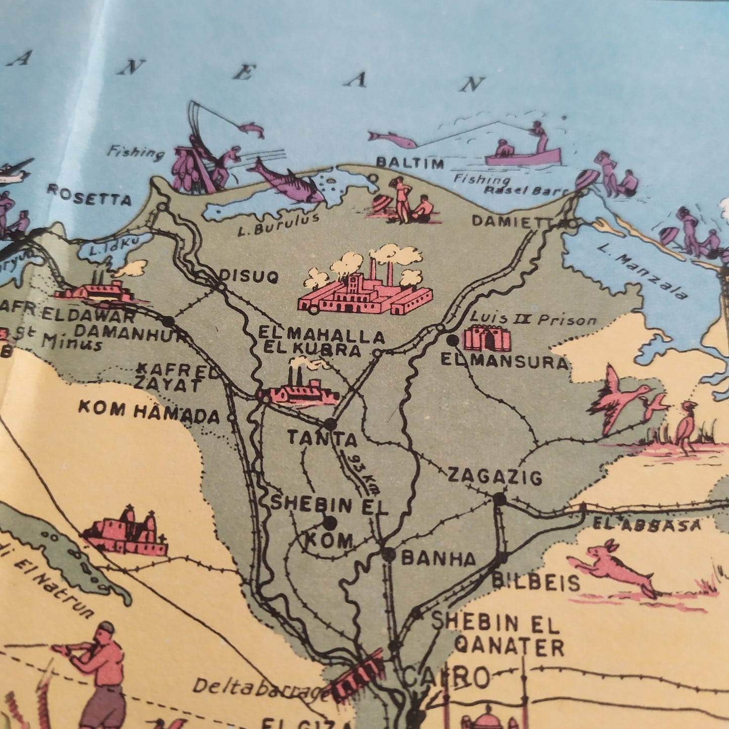 Zoom sur le Delta du Nil sur la carte de l'Égypte, avec les villes du nord (Rosette, Damiette, Mansourah) et les illustrations d'activités de pêche et d'installations industrielles.