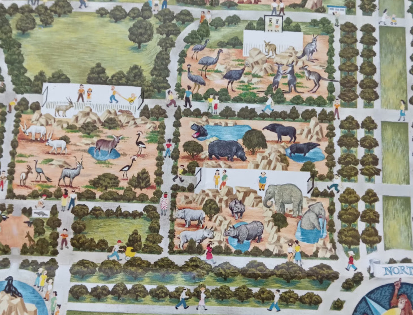 Détail du plan montrant les enclos des émeus, des kangourous, des hippopotames, des rhinocéros et des éléphants, avec des visiteurs se promenant dans les allées.