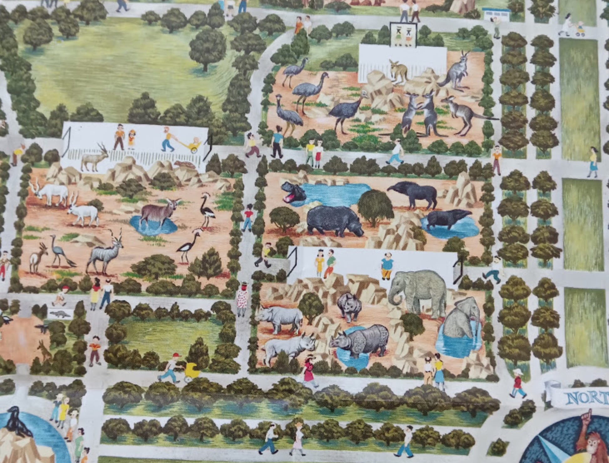 Détail du plan montrant les enclos des émeus, des kangourous, des hippopotames, des rhinocéros et des éléphants, avec des visiteurs se promenant dans les allées.