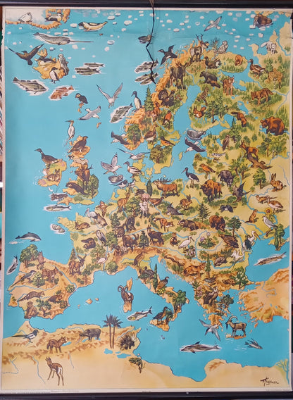 Grande affiche scolaire vintage de la faune d'Europe par Westermann,