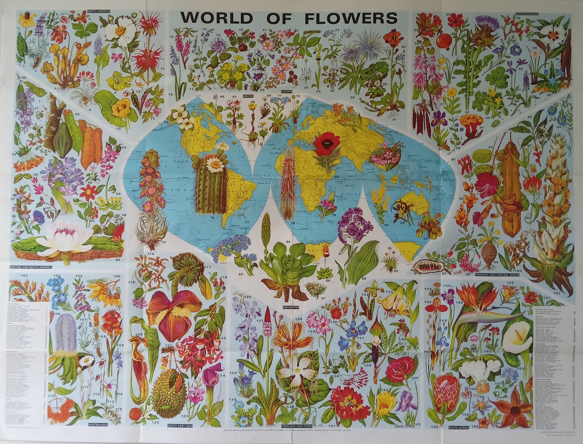 Vue d'ensemble de l'affiche "World of Flowers" de 1972, qui présente une carte du monde au centre, encadrée par de nombreuses illustrations botaniques de fleurs classées par région