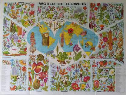 Vue d'ensemble de l'affiche "World of Flowers" de 1972, qui présente une carte du monde au centre, encadrée par de nombreuses illustrations botaniques de fleurs classées par région